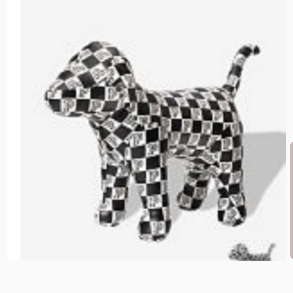 New huge vs pink fashion show dog